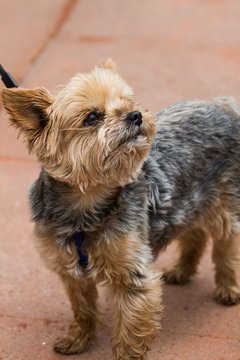 Bild 215 - TC Rot Wei� Wahlstedt II - TSV Havelse : Ergebnis: 7:2